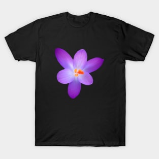 purple, crocus, violet, crocuses, spring flowers T-Shirt